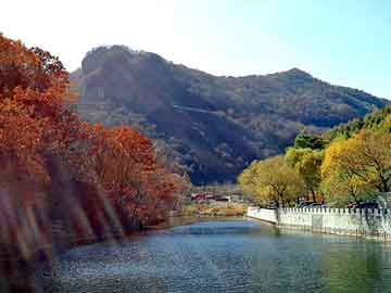 管家婆黑白马报图库，王良简历